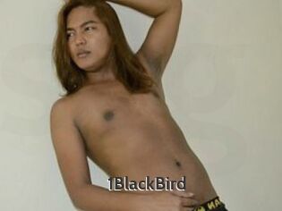 1BlackBird