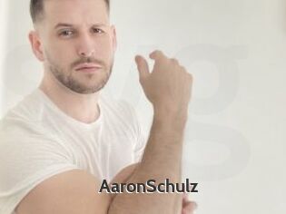 AaronSchulz