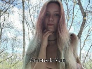 AmbrosiaMae