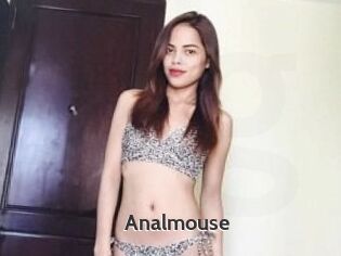 Anal_mouse