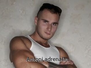 Antoni_adrenal1n