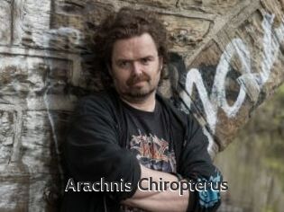 Arachnis_Chiropterus