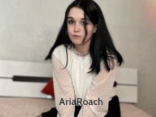 AriaRoach