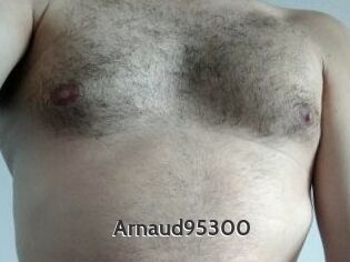 Arnaud95300