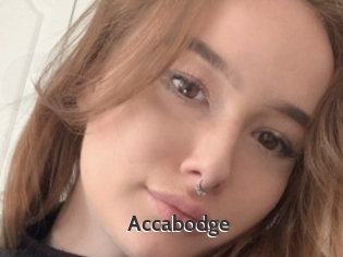 Accabodge