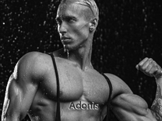 Adonis_