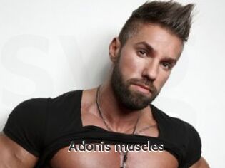 Adonis_muscles