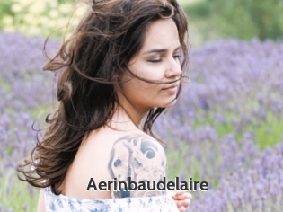 aerinbaudelaire Sex Video Gif
