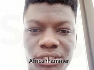 Africanhammer