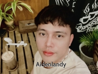 Aidenlandy