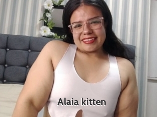 Alaia_kitten