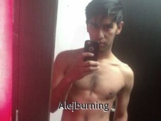 Alejburning