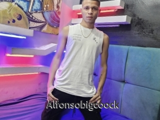 Alfonsobigcoock