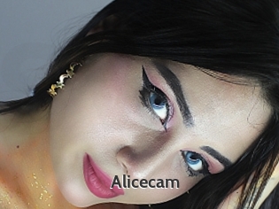 Alicecam