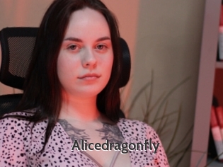 Alicedragonfly