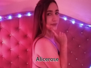 Alicerose