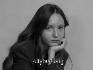 Allybudlong