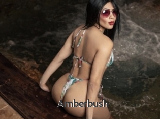 Amberbush