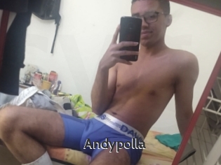 Andypolla