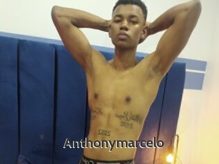 anthonymarcelo Sex Video Gif
