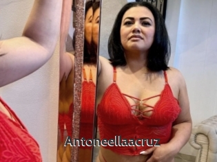 Antoneellaacruz