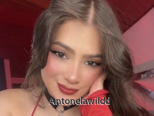 Antonelawildd
