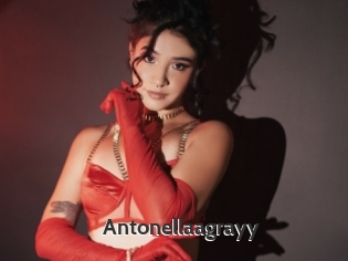 Antonellaagrayy