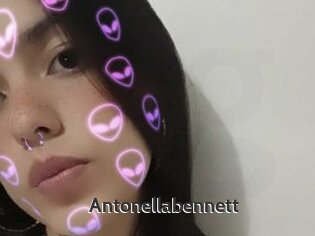 Antonellabennett