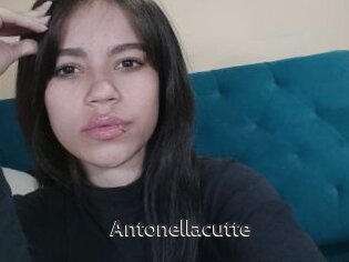 Antonellacutte