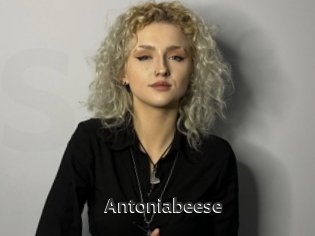 Antoniabeese