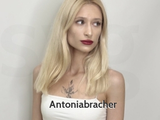 Antoniabracher