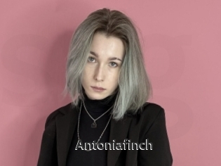 Antoniafinch