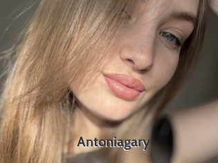 Antoniagary
