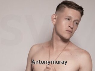 Antonymuray