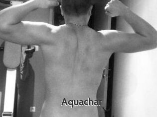 Aquachar