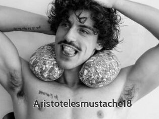 Aristotelesmustache18
