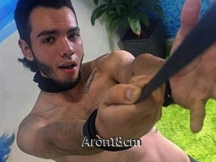 Aron18cm