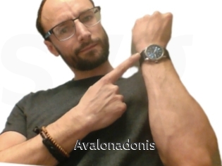 Avalonadonis