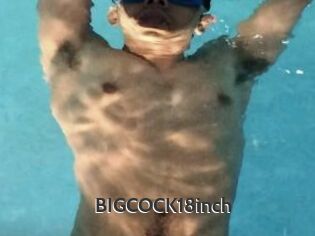 BIGCOCK18inch