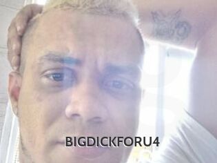 BIGDICKFORU4