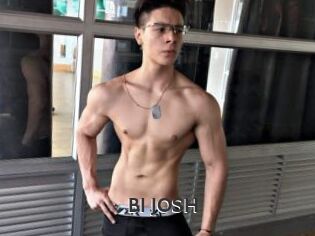 BI_JOSH