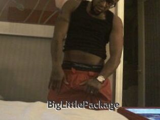 BigLittlePackage
