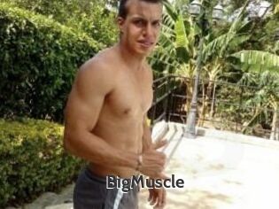 Big_Muscle