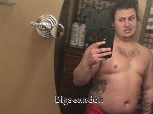 Bigseandon