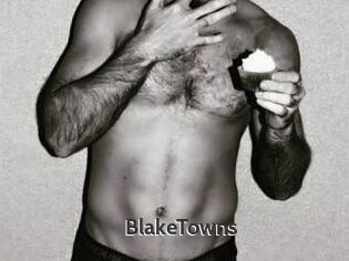 BlakeTowns