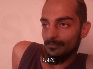 BobX