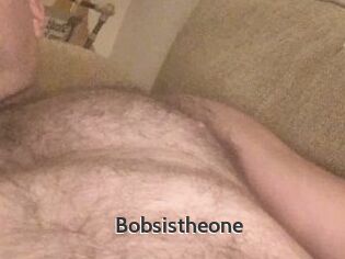 Bobsistheone