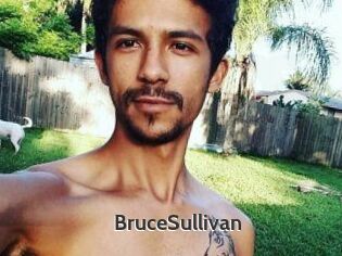 Bruce_Sullivan