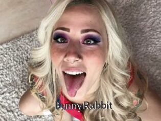 BunnyRabbit