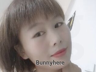 Bunnyhere